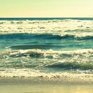 Meet your Posher, Ella